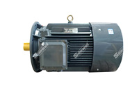 Moteur asynchrone triphasé haute puissance 22 kW 50/60 Hz pour usage industriel 208-240 V/400 V, encastré IP54 IP55 IP67, 1500 tr/min/3000 tr/min