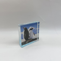 Cadre photo carré en acrylique 4x4 pouces avec impression sérigraphiée liquide flottante, décoration moderne, cadeau de vacances, souvenirs, requin, poisson