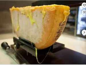 Machine à <span class=keywords><strong>raclette</strong></span> électrique à roue unique de technologie avancée, <span class=keywords><strong>appareil</strong></span> de fusion de fromage et de chauffe de lait caillé - Product Image 5