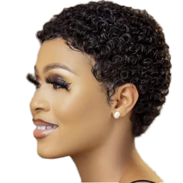 real short human hair wigs for women