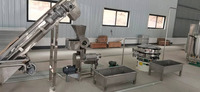 Machine de fabrication de jus de fruits commercial Machine d'extraction de jus de pomme Machine de fabrication de jus frais et Machine de remplissage pour les petites entreprises