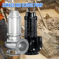 Pompe submersible en acier inoxydable pour eaux usées, accouplement fixe, haute efficacité, certifiée ISO9001 CE, pour fosses municipales et boues portables