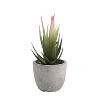 Plantes succulentes artificielles, petits pots blancs, plantes de bureau, décoration pour la maison, la salle de bain, les petits espaces, Thanksgiving, Halloween