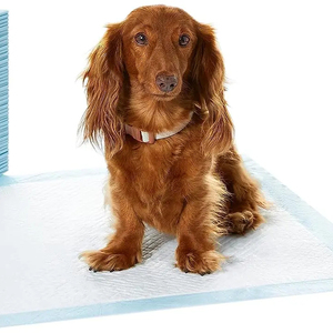 Tapis absorbant jetable pour chiens et chats, best-seller, fournitures pour animaux de compagnie, conception à séchage rapide, pour l'apprentissage de la propreté des chiens - Product Image 1