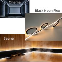 Lumière d'ambiance pour sauna, néon LED en silicone noir 20*18mm 24V IP68, lumière douce sans taches 3000K, étanche, pour cinéma, SPA, éclairage LED en corde