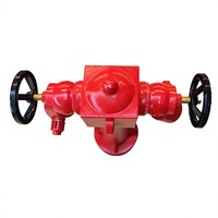 Hydrant d'incendie extérieur en fer BS EN DN100 DN150, type à long tuyau standard avec vanne en cuivre en option