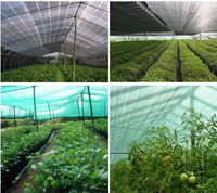 Filet de jardin en plastique HDPE de marque Antai pour plantes, vert foncé, tricoté, origine Shandong