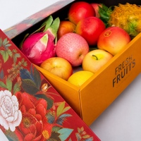 Boîte Cadeau de Fruits en Gros, Boîte Cadeau en Carton Premium à Deux Niveaux avec Poignée en Tissu pour Cadeaux d'Entreprise et Festifs