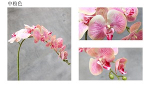 2024 gran oferta Flor <span class=keywords><strong>de</strong></span> orquídeas <span class=keywords><strong>de</strong></span> imitación para centros <span class=keywords><strong>de</strong></span> mesa <span class=keywords><strong>de</strong></span> boda <span class=keywords><strong>seda</strong></span> Artificial tacto Real mariposa orquídea <span class=keywords><strong>polilla</strong></span> - Product Image 4