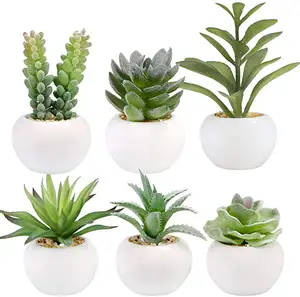 1 pièce en gros de plantes succulentes de haute qualité artificielles dans de mini pots en céramique blanche petites plantes succulentes artificielles