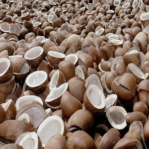 มะพร้าวฝอย/มะพร้าวเปลือกบาง/มะพร้าวสุก ปี 2020 - Product Image 1