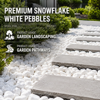 Gravier décoratif blanc naturel en pierre de lune pour aménagement paysager, allées de jardin et couverture du sol