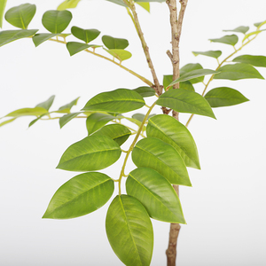 Nhà Máy Trực Tiếp Nhân Tạo <span class=keywords><strong>Toona</strong></span> Sinensis Lê Nhựa Màu Xanh Lá Cây Nhà Máy Chi Nhánh Cho Nhà Văn Phòng Trong Nhà Ngoài Trời Trang Trí - Product Image 4