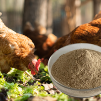 Aliment Composé pour Améliorer la Qualité des Œufs – Prémélange Avicole à Prix Compétitif, Idéal pour Poules Pondeuses – Aliment Composé pour Poulets Pondeurs