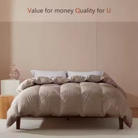 Couette personnalisée de luxe entièrement en duvet d'oie plume de canard couleur hôtel couette insérer hôtel couette couette pour hôtel et maison
