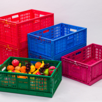 Caisse de récolte agricole ventilée pliable en plastique pour fruits et légumes, caisses de stockage agricoles en plastique pliables