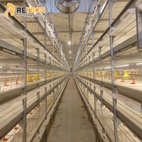 Poulailler entièrement automatisé à ventilation par tunnel pour l'élevage de poulets de chair, cages à poulets multi-niveaux aux Philippines