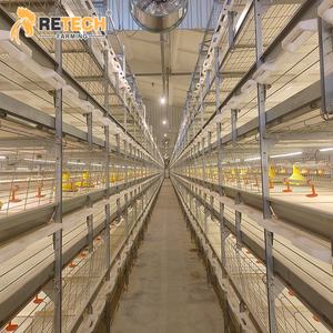 โรงเรือนเลี้ยงไก่เนื้อแบบอัตโนมัติเต็มรูปแบบพร้อมระบบระบายอากาศในอุโมงค์  <span class=keywords><strong>กรง</strong></span>ไก่หลายชั้นในฟิลิปปินส์ - Product Image 3