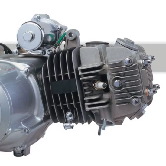 2 Wheel/3 Wheel Motorcycle/cargo Tricycle Engine 70cc/110cc/150cc/200cc/250cc