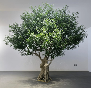 Albero di Ulivo Artificiale Personalizzato di Grandi Dimensioni per Decorazione Interna ed Esterna, Giardino, Ristorante, Pianta <span class=keywords><strong>Verde</strong></span> Finta Realistica - Product Image 2