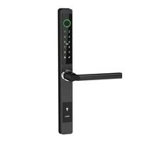 Cerradura Digital Inteligente con Huella Dactilar, Impermeable, de un Solo Lado, con Conexión WiFi, para Puerta Corredera de Aluminio Estrecha, con Ranura para Tarjeta de Memoria