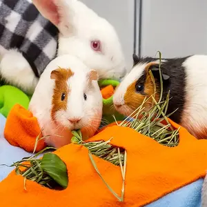 Заводской коврик для кормления кроликов