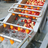 Fabrieksdirecte verkoop van reinigings- en sorteerapparatuur, nieuwe staat, bubbelwasmachine voor bayberry en aardbeien