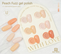 ICE NOVA Peach Fuzz Gel Polish Couleurs douces et polyvalentes Haute qualité Facile à appliquer Soak Off Hema Free 1kg Vente en vrac d'usine