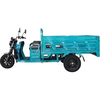 Tricycle électrique motorisé robuste à 3 roues, certifié CEE, 60V 1000W, avec carrosserie ouverte personnalisable, vente en gros de Chine à prix abordable
