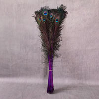 Éventail décoratif en plumes de paon colorées, idéal pour événements, scènes, costumes, carnavals et fêtes - Grande Vente