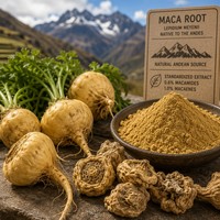 Extrait naturel en poudre fine, rapport eau/éthanol 10:1 et 20:1, qualité alimentaire, approvisionnement en vrac pour la vitalité et l'énergie