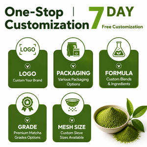 Cápsulas de <span class=keywords><strong>Matcha</strong></span> a Granel de Marca Privada Yibenef, 2g, Grado Ceremonial, Muestra Gratuita, OEM ODM, <span class=keywords><strong>Matcha</strong></span> Prahu - Product Image 2
