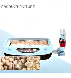 Home use wonderful quality 16 eggs small egg incubator and hatcher automatic turning birds egg for hatching