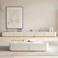 Ensemble meuble TV avec table basse de luxe pour salon à lumière simple