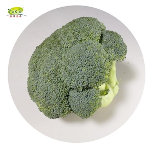 Cinese <span class=keywords><strong>Fresh</strong></span> <span class=keywords><strong>Broccoli</strong></span> Grado UN Vegetale <span class=keywords><strong>Broccoli</strong></span> In Scatola di Cartone - Product Image 4