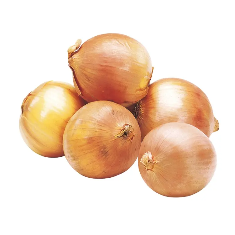 Wholesale Most Favourable Big Onion Yellow Onions Fresh Market Onions Prices from CN;GAN Mesh Bag 100% Maturity Gansu Province
