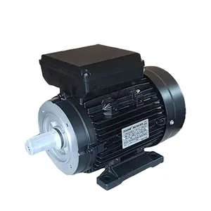 MLシリーズ高効率単相デュアルコンデンサスタート産業用電動機1400-1500RPM 0.12-3KW AC Volta 220V