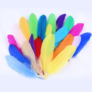 Vendita diretta della fabbrica piume d'oca sciolte fiori decorativi galleggianti piante per gioielli fai da te accessori di abbigliamento artigianale - Product Image 1