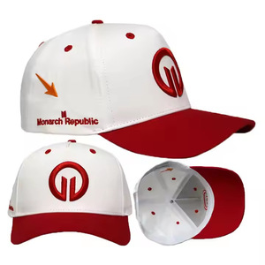 Cappellino da Baseball Personalizzato a 5 Pannelli con Logo, Visiera Curva, Unisex, Stile Casual Vintage, Design Ricamato, 100% Cotone, Fibbia in Rame Dorato - Product Image 3