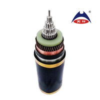 Cable de Potencia de Media Tensión con Aislamiento XLPE Ignífugo de 185 mm, 240 mm, 300 mm, 400 mm, 500 mm, 630 mm, ZR-YJLV62 8.7/15kV para Estación de Energía
