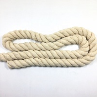 Cordon de macramé personnalisé multicolore haute ténacité, écologique, à 3 brins, en polyester et coton torsadé, pour textiles de maison durables
