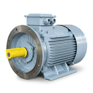 Motor Asíncrono Trifásico IE3 de 4 Polos, 37KW, 50HP, 380V, 220V, 400V, 440V, 50/60Hz, 1500rpm, Montaje en Pedestal, IP55, 100% Cobre - Product Image 1