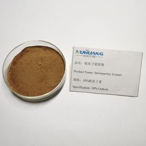 Estratto di frutta Cnidium Osthole <span class=keywords><strong>10%</strong></span> - Product Image 3