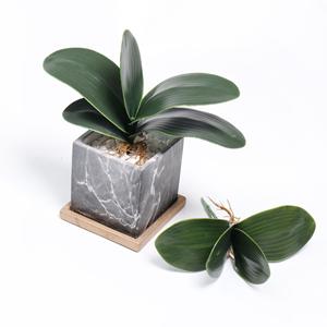 All'ingrosso vero tocco grande e piccola dimensione orchidea foglie artificiali tocco reale foglia di orchidea per il matrimonio e la decorazione della casa - Product Image 1