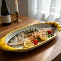 Assiette longue en céramique à pois, style américain minimaliste, créative et fraîche, avec double poignée, pour salade de poisson, pour la salle à manger.