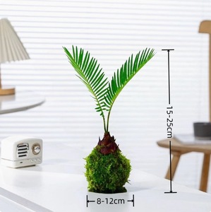 สิบอันดับต้นที่ประสบความสำเร็จของต้นไม้กระถางมอสโต๊ะกาแฟบอนไซขนาดเล็กสำหรับห้องน้ำโต๊ะคนขี้เกียจพืชสีเขียว - Product Image 5