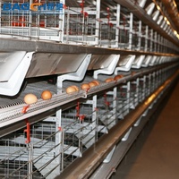 Offre Spéciale : Système d'élevage en batterie de cages à poules pondeuses Bangchi de type H en acier galvanisé à chaud, longue durée de vie, pour la production d'œufs