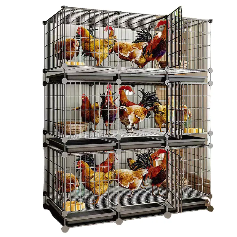 Desain rumah peternakan hewan unggas sistem lapisan telur kandang ayam anak ayam Harga terbaik pabrik Cina