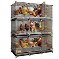 Système de Conception de Poulaillers pour l'Élevage de Volailles, Cage à Poules Pondeuses, Cage pour Poussins, Meilleur Prix, Fabrication Chinoise