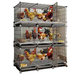 Animal Aves de Corral Casa Granja Sistema de diseño Capa de huevo Jaula de pollo Pollitos Bebé Mejor precio Fabricación de China